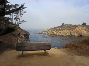 2015.09.27 @ Point Lobos, CA
